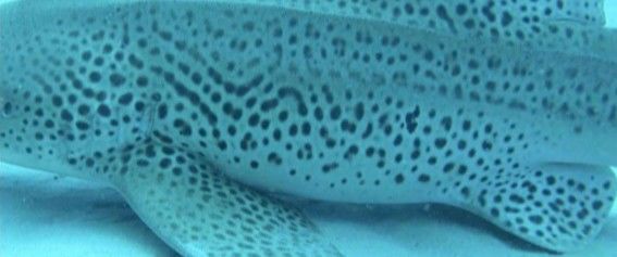 d3d958fd-afbb-4a06-9a00-a3dc09ab95fb