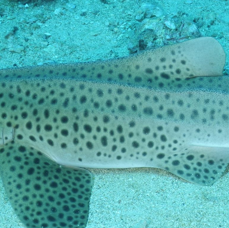 b7231fd2-22d1-4542-b614-1e2efb9815eb