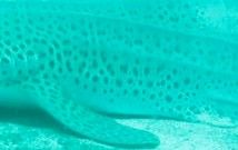 a7de2f7a-15ab-4f2d-8897-47a139a3e02d