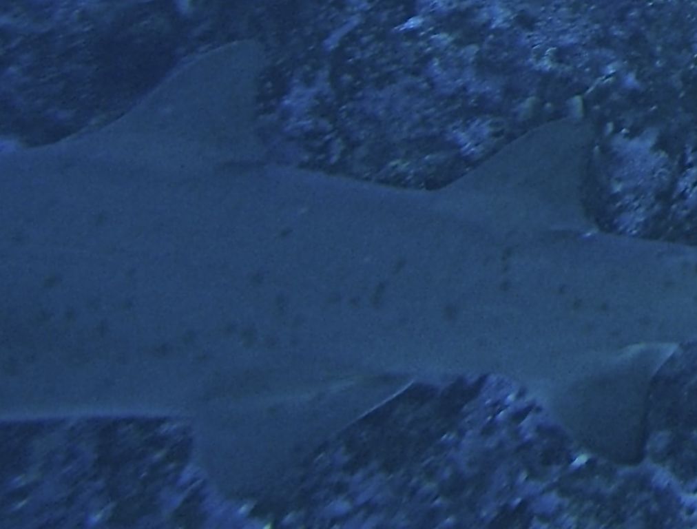 f6de1ff5-2ce1-4150-97c8-4bc5412f2336