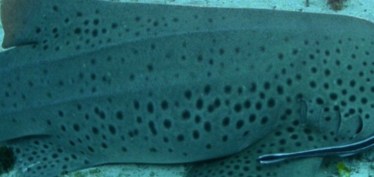 3df2fa38-5c70-4fe8-aa56-9b7e79f0c0af