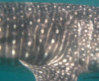 de0ece2f-c6b2-45bd-aaef-e65e95b4ecde