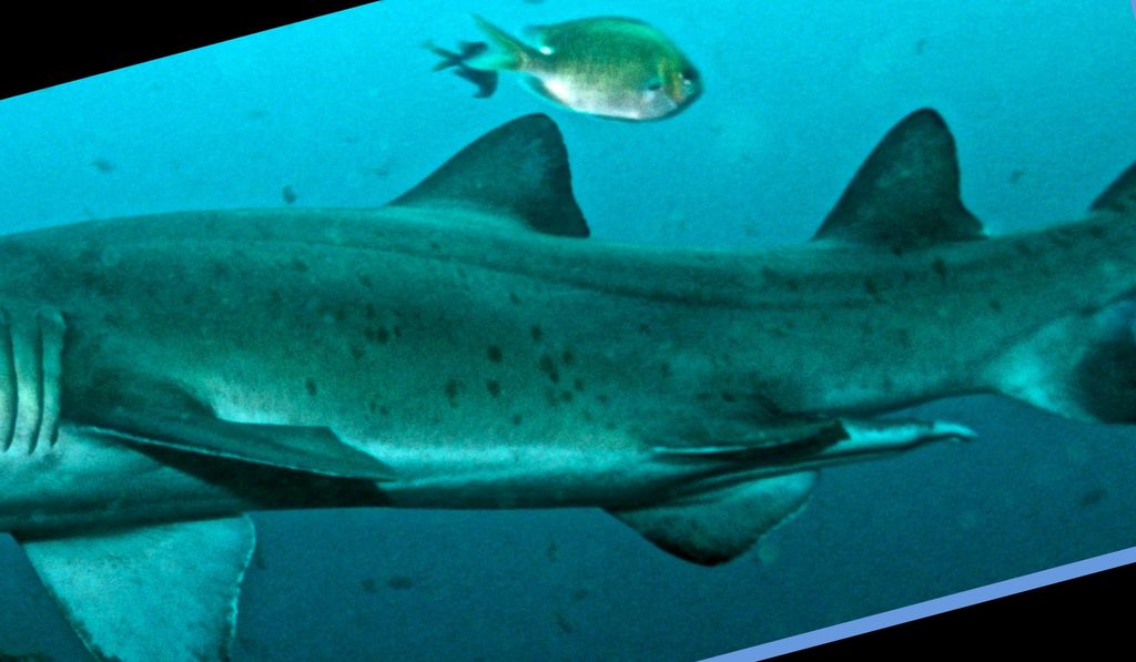 49252713-7dcf-4107-abac-5a3ffee22cf1