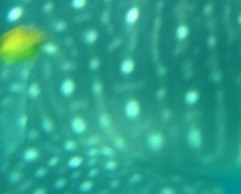 b0dbe09b-3e05-4231-b622-2ef640a9590d