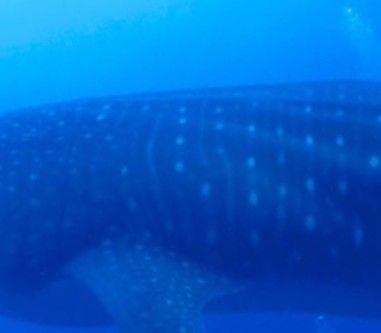 226e21ac-d482-42bc-82ec-bcc0249ff61f