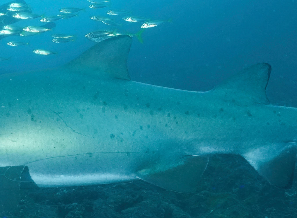 43bd8edf-9410-4818-b9c6-66ca33dd8570