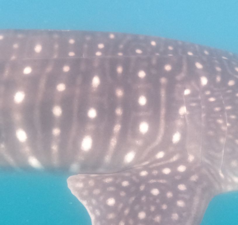 a9a2e11c-577b-48dc-ba73-a7f77da170f0