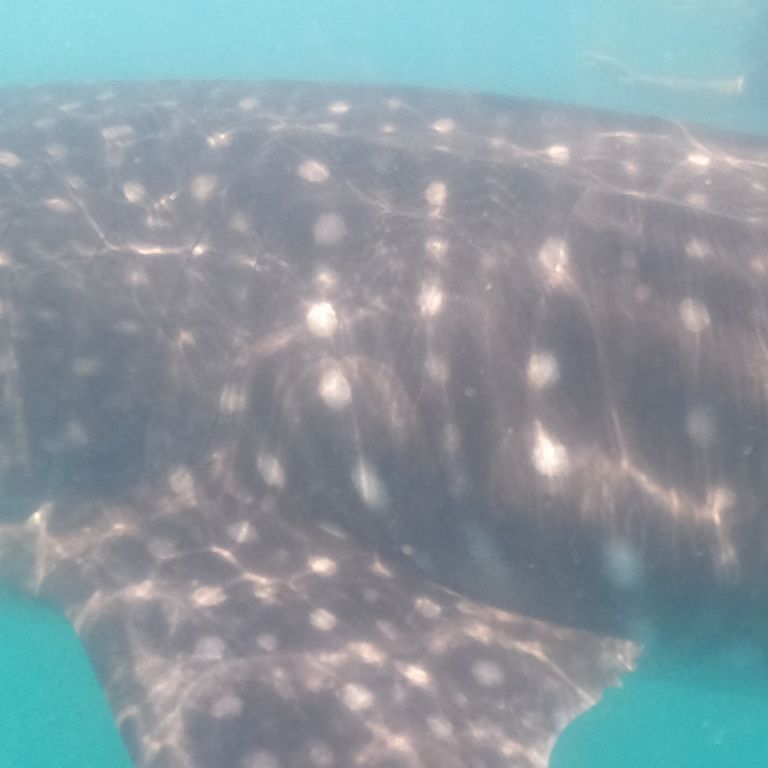 a9a2e11c-577b-48dc-ba73-a7f77da170f0