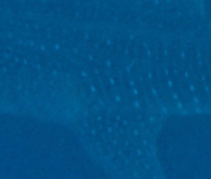 8a390f86-d3e1-40b7-8252-56010cecbfa6