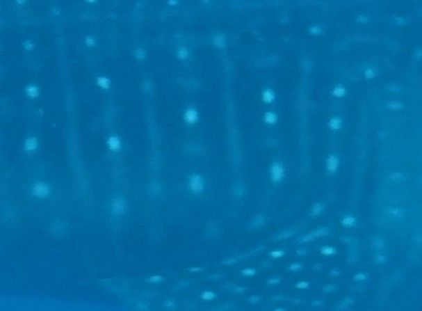 8a390f86-d3e1-40b7-8252-56010cecbfa6