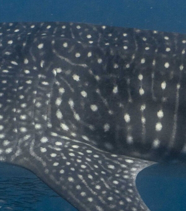 f5e52631-b895-495e-9e3f-41cfee01ed3b