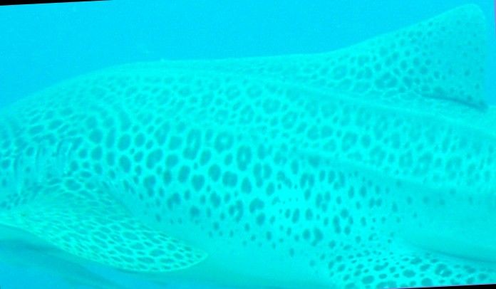 5de988e3-07cc-46db-86c2-f125e50304f8