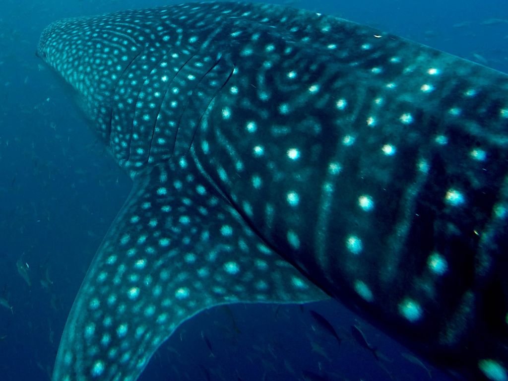 4b05e2e1-d293-4d00-87be-c4b70a408ced