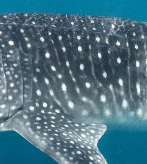 bed1162e-f48a-4f4a-833e-86426fa96a4f