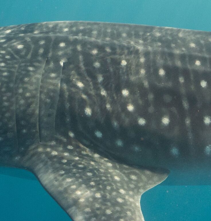 7430b944-dbcb-424f-bb3d-49f5a2bdb34f