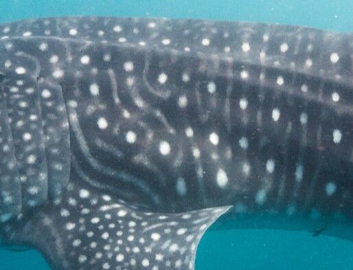 6b9ea88c-f430-4410-9713-c86ed3bb1649