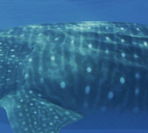 d89028b7-0f8b-4ce0-a54d-cad9a79c78d5