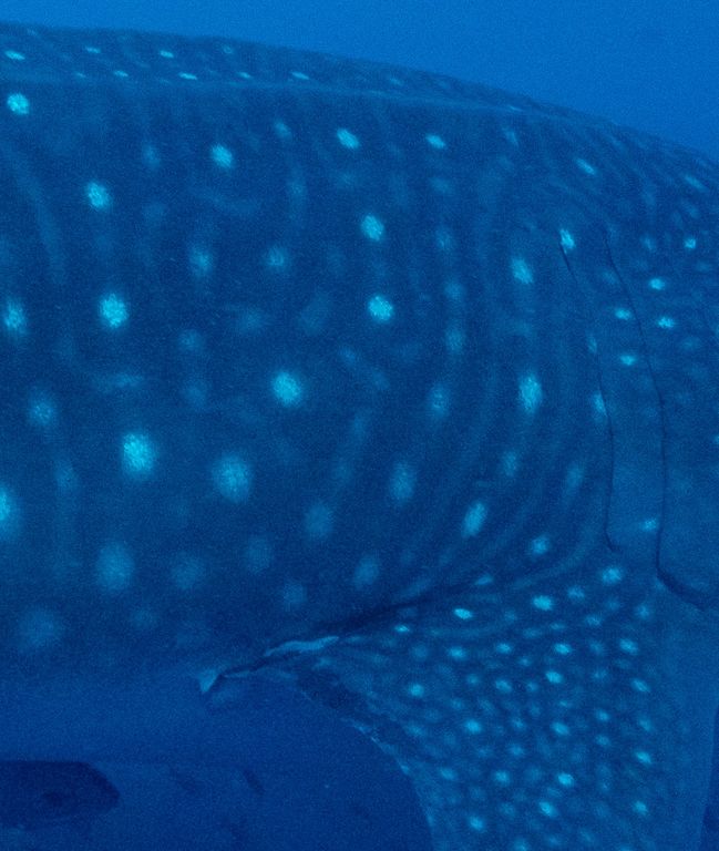 31008e44-cc33-4a2c-8a5e-56674d11c8d5