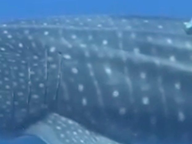 2a29661a-6316-48ae-bcfe-123bfaab2d25