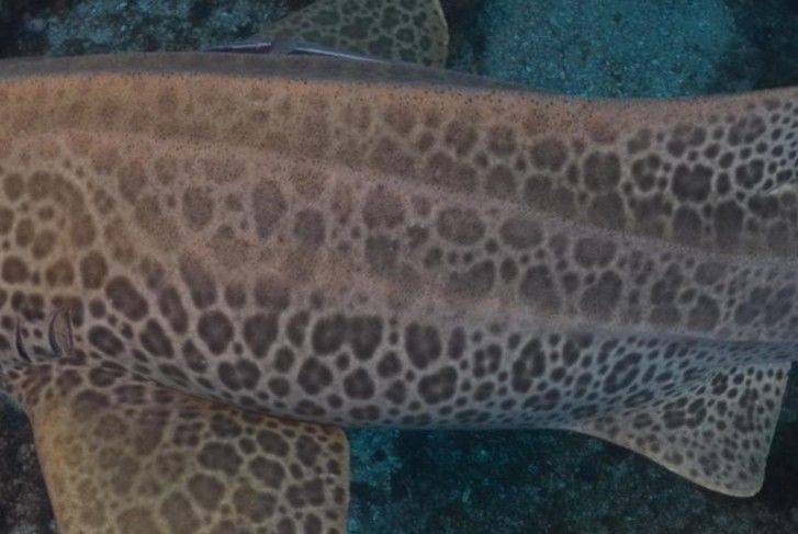 5500727a-ada7-465c-bc05-ab50284d1f71