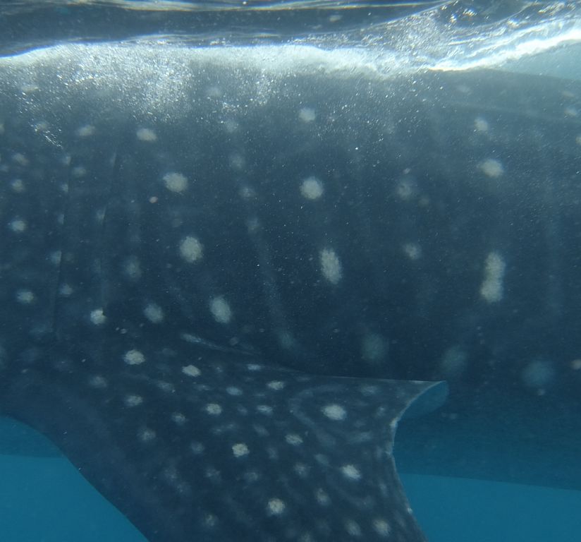 2d0fb652-ff0e-44ee-a817-e7a24bb6a5ec