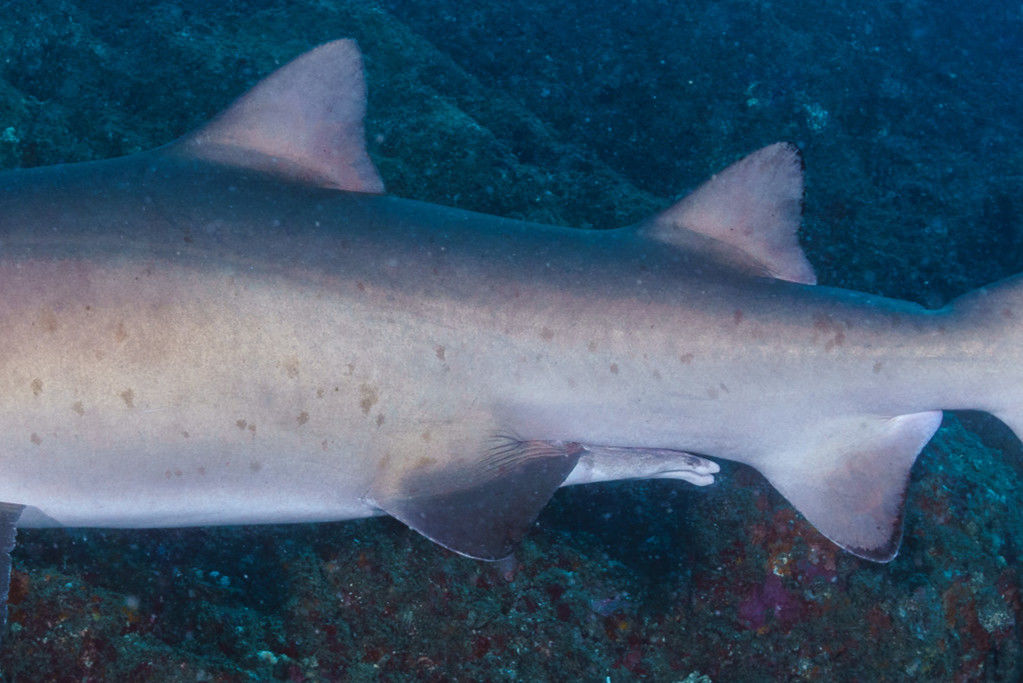 fbd192a5-5b67-4145-89a9-c4cc3aaace47