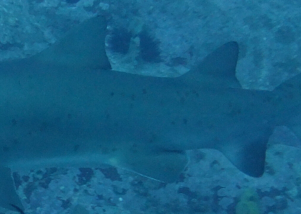 d0ff49c6-73c7-42bc-90a5-aef23a8edbf4