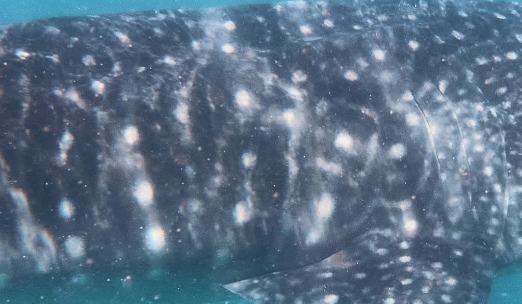 e87f22d2-d485-48c4-b999-d15982ac57e3