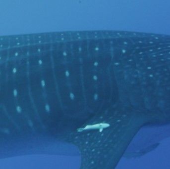 6dea6376-e162-4b8b-9f2c-a555ce2981d0