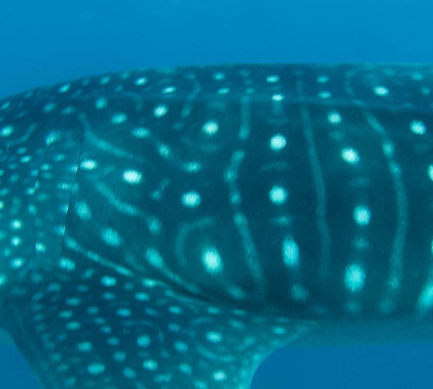 f932b5d4-c1b2-4538-9496-99de0f038f36