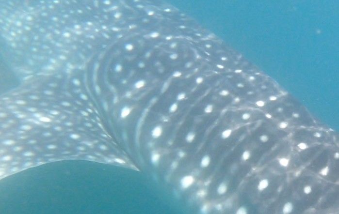 290517cd-f60b-4e67-a3cb-c1eac8c36a72