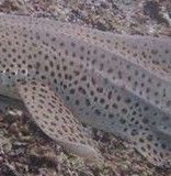 dc9552d0-b904-43d0-9419-91de5780f554