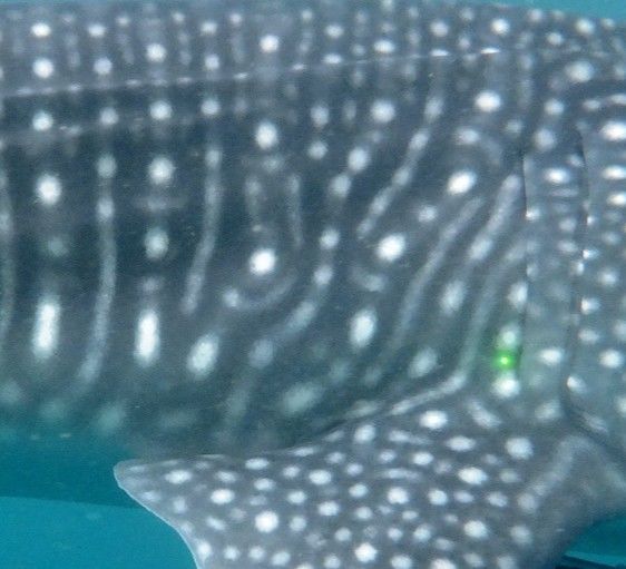 630a763f-2908-46e3-a3ae-7c7a99539427