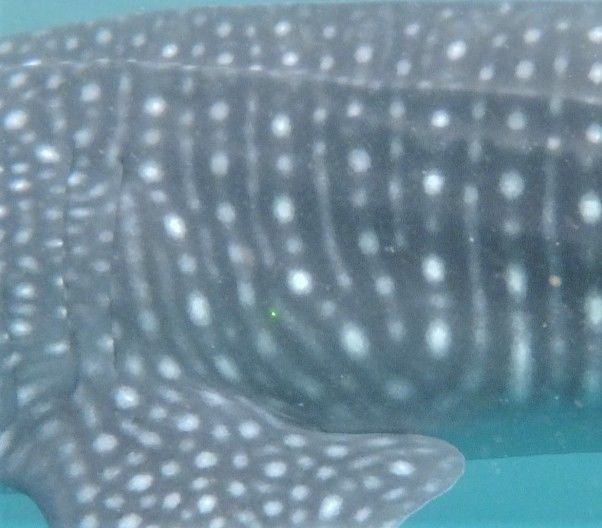 630a763f-2908-46e3-a3ae-7c7a99539427