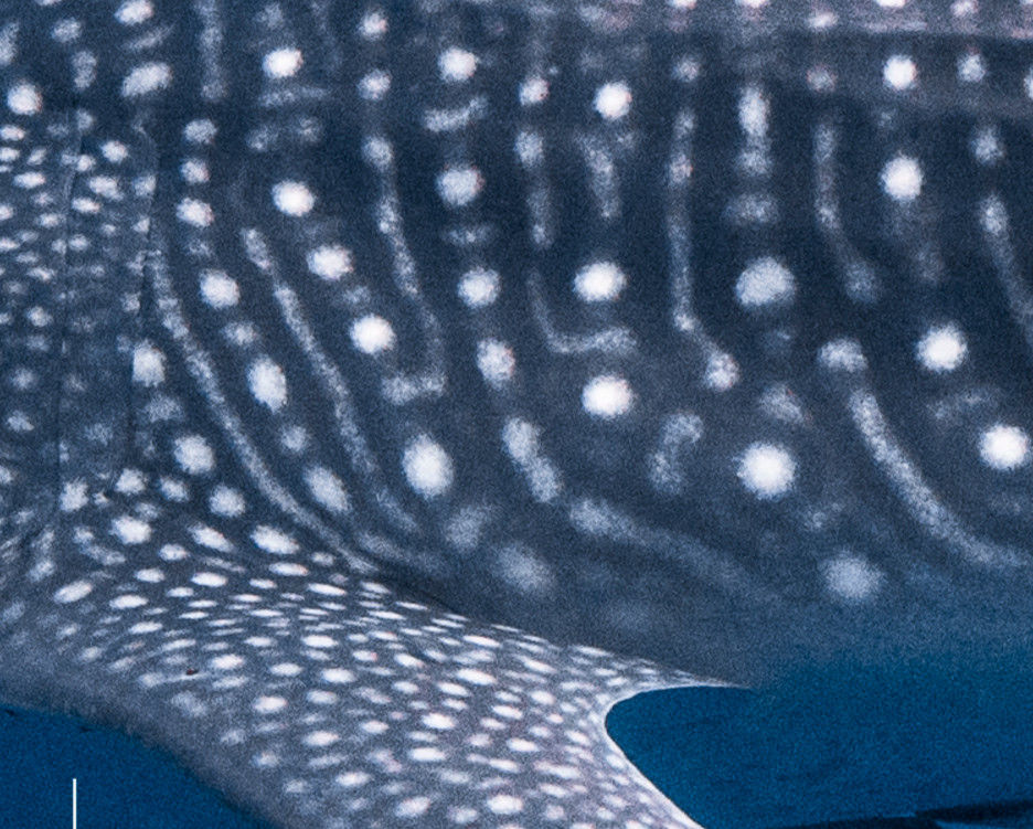 10b1dd2c-ac33-4c03-9a0e-ec7d03a9f169