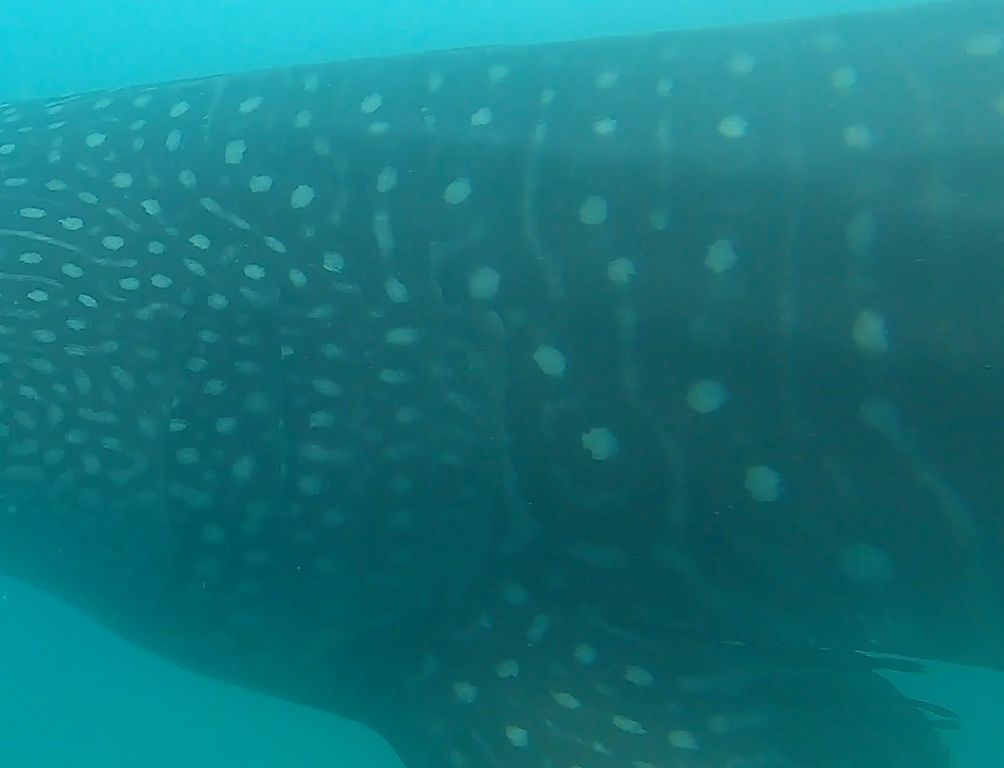 9c3f0f63-f7c8-4e27-9c36-45c6bf1b8e58