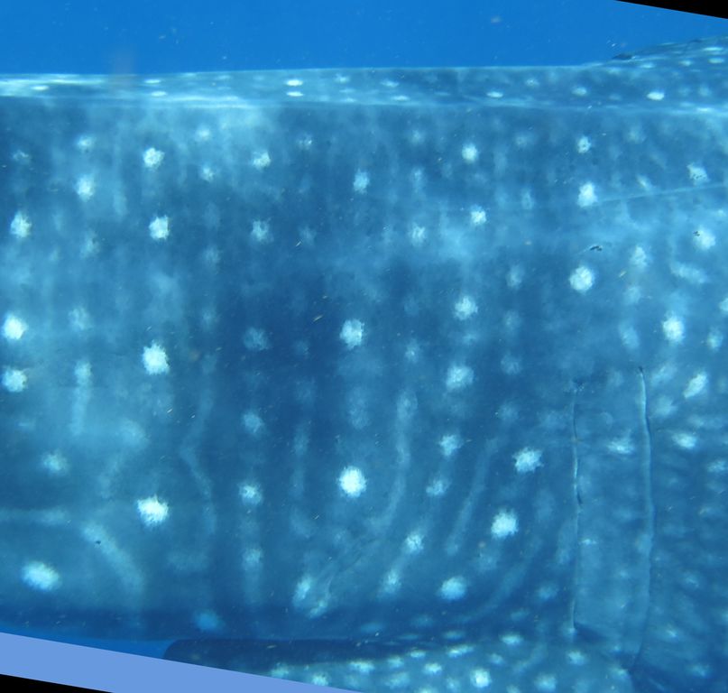 29b8041e-a765-4b6c-9af9-8a2c3193ce4c