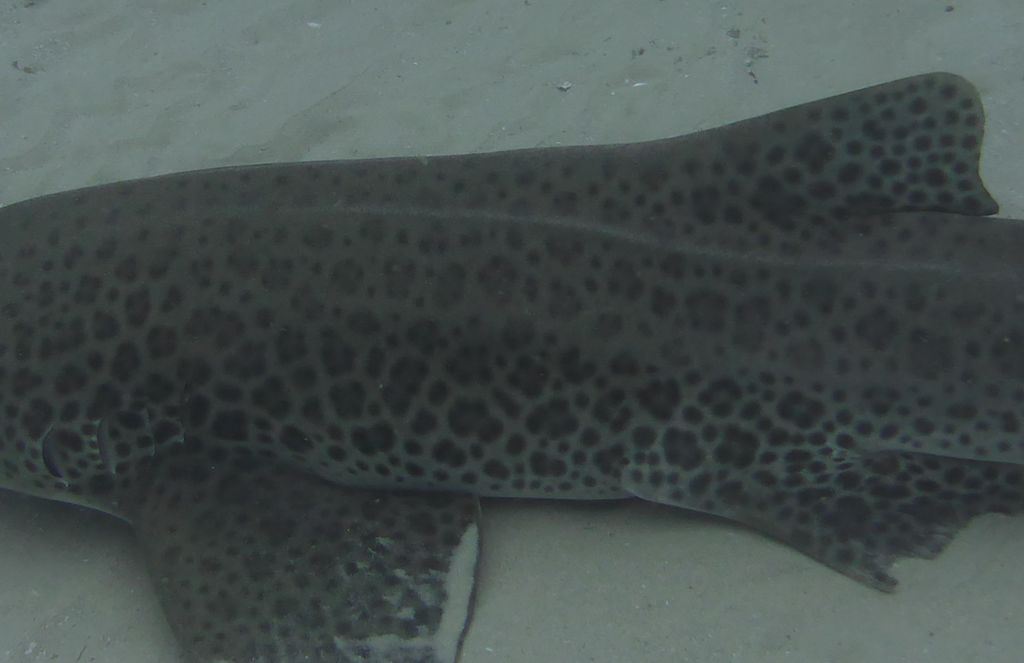 52b4624f-6769-4cd1-b8d3-09f71e94f7c5