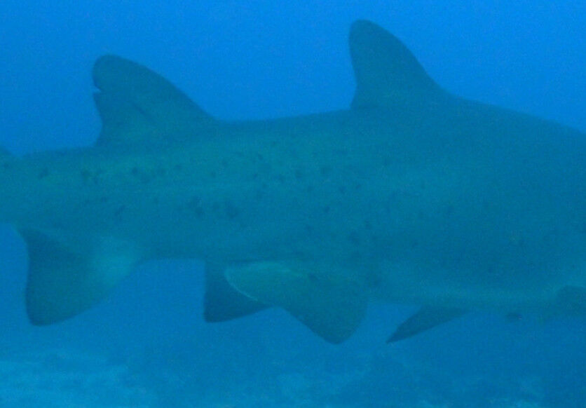 cbaac543-d5b4-4d3d-a85e-c5164655d8a0