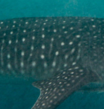 7e2df7e5-3368-404a-b8ac-698b5fc892ac