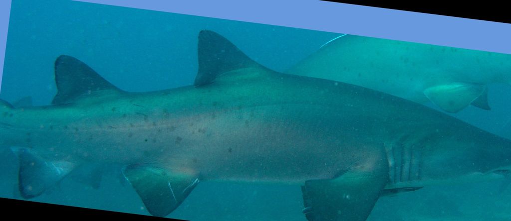 21049ef1-9dc4-4728-9c53-51c9547273e9