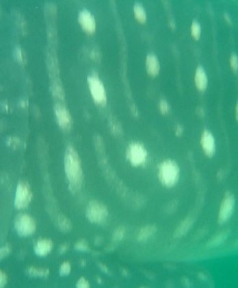 58178f08-c283-4592-9542-64789d74345f