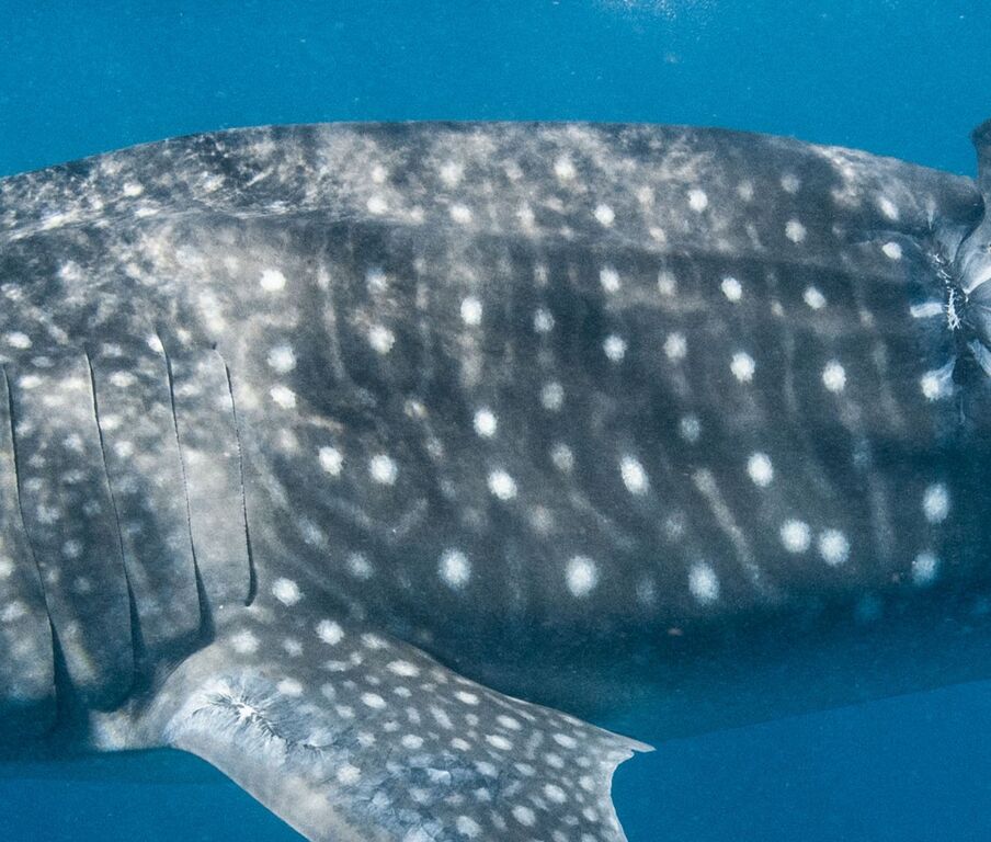 0973216f-56ba-4d97-99f5-bb64f66ddf05