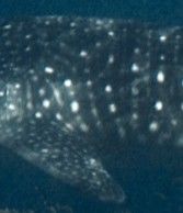 7cab49d9-2ab8-4dbd-8fc2-701e40ec5e37