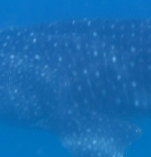 9e1c43f3-492b-4291-a93d-5143c8dfdde9