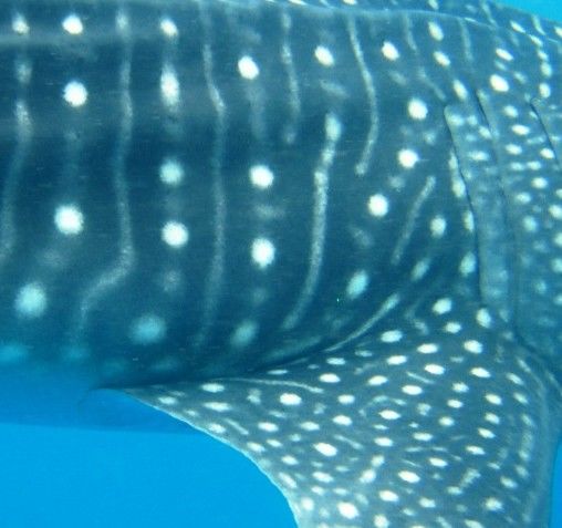 e6f2c3c1-3a6e-4105-9ee1-74604aed33dd