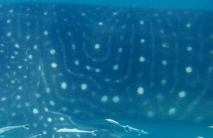 0b773182-a96d-4195-a357-bd1d12eb8081