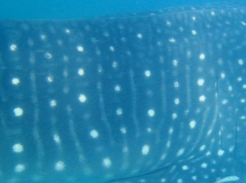 0b773182-a96d-4195-a357-bd1d12eb8081