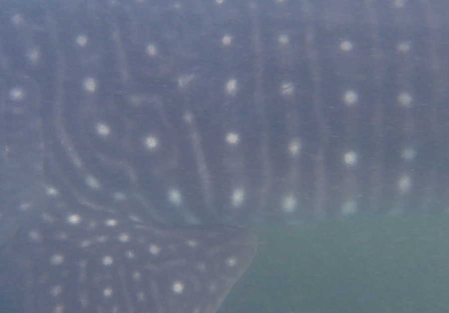 11efd23f-7aea-4980-9bf0-1beb35ac3349