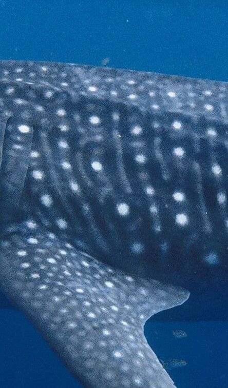 53799ce4-0710-4170-9373-29b72d3834ab